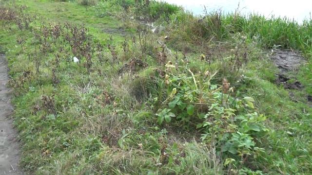 ВЛАСТЬ В СССР СТРОИЛА НА КОСТЯХ смотреть онлайн