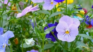 Эмили покусали комары! Беби Бон на детской площадке. Как мама - видео для девочек про Baby Born