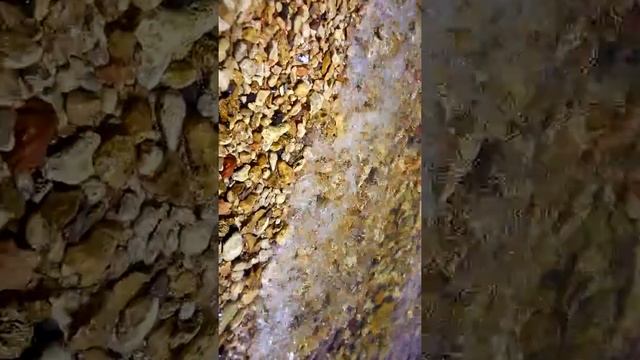 УРА!!! Речка можно купаться!!!