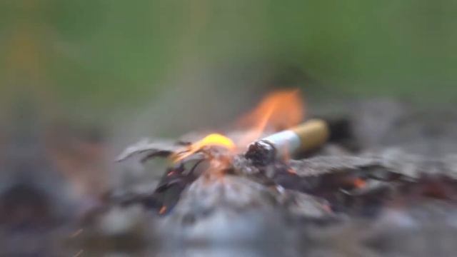 МЧС О ПОЖАРАХ В ЛЕСУ