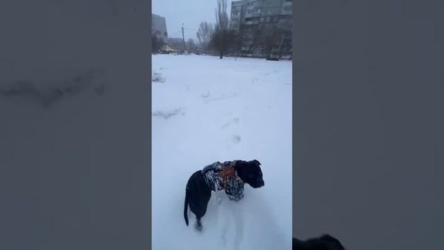 10 января 2024 г.