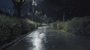 Шум дождя для глубокого сна. Белый шум от бессонницы. Дождь в парке