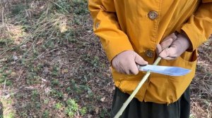 ОСИНА КОРА ЛЕЧЕБНЫЕ СВОЙСТВА -||- ОСИНА ПРАКТИЧЕСКИЕ ЗНАНИЯ -||- КОРА ОСИНЫ