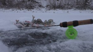 Повесил фосфорную блесну и сразу пошли удары .  Зимняя рыбалка