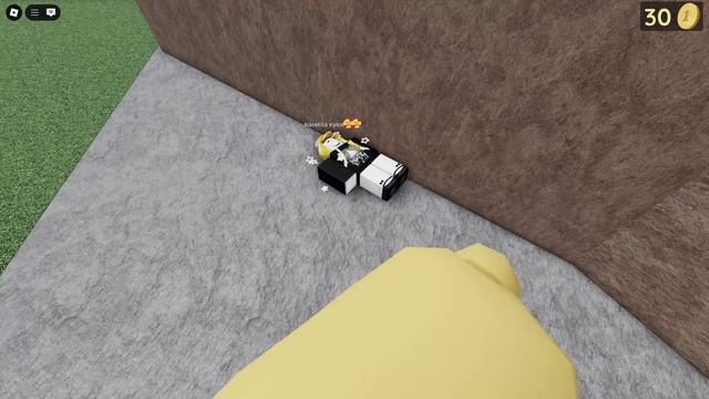 играем в Flings Things And People