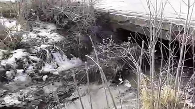 Елец в дерьме смотреть онлайн