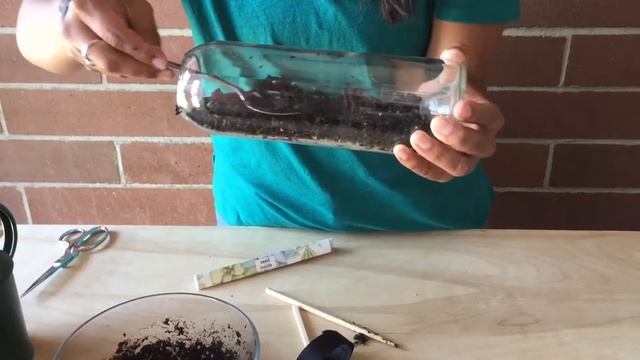 Sedum Terrarium Planting смотреть онлайн