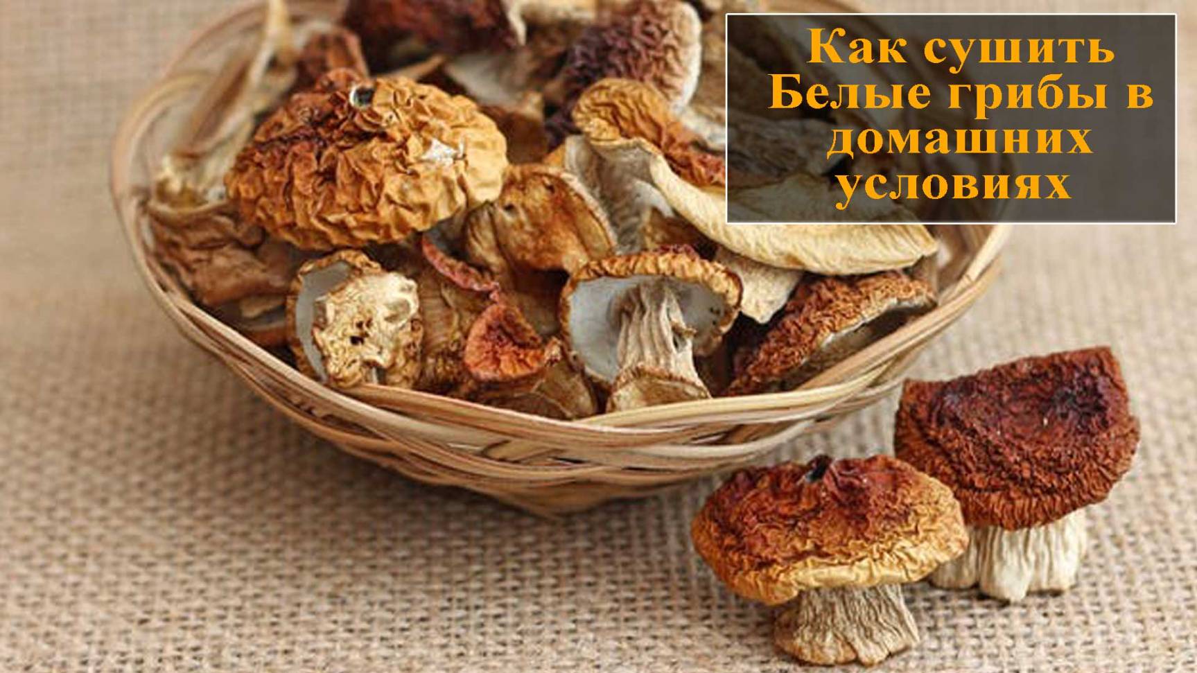 Как в домашних условиях сушить белые грибы смотреть онлайн