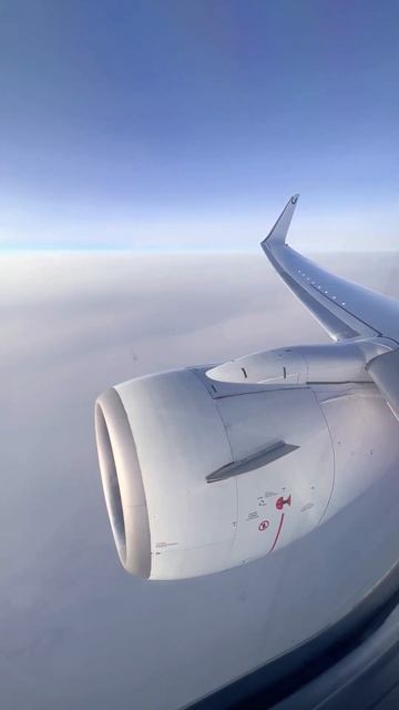 Летим в молоке #полет #авиация #самолет #боинг смотреть онлайн