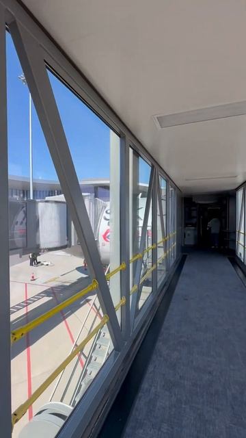 Посадка в самолет китайских авиалиний смотреть онлайн