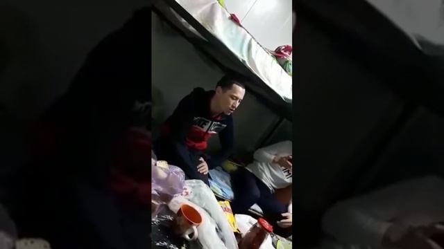 Казах перепел Еминем /Kazakh quail Eminem. смотреть онлайн