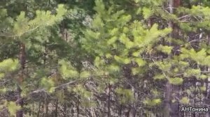 Весёлый апрель.