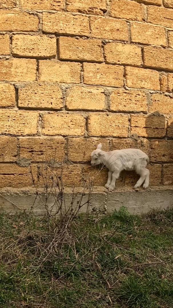 Молоко убежало смотреть онлайн