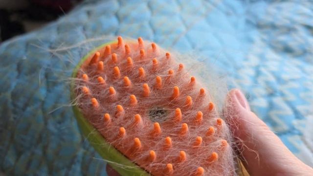 Сравнила популярные паровые коточесалки с нашей старой и она победила 🤷 смотреть онлайн