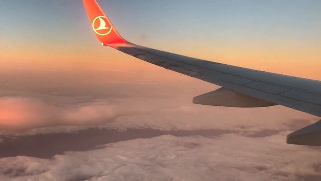 Turkish airlines смотреть онлайн