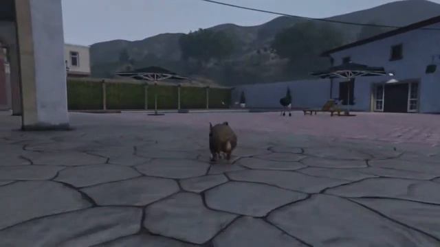 [10/27] Rabbit Peyote [Grand Theft Auto V] смотреть онлайн