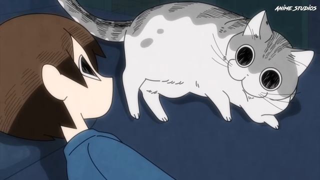 кот орех  кот абармот и китик мяу