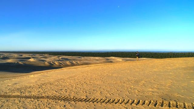 TROPICAL WORLD (12K HDR) DOLBY VISION™ 120FPS