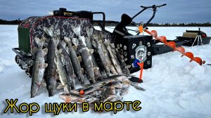 НЕРЕАЛЬНЫЙ КЛЁВ ЩУКИ В МАРТЕ