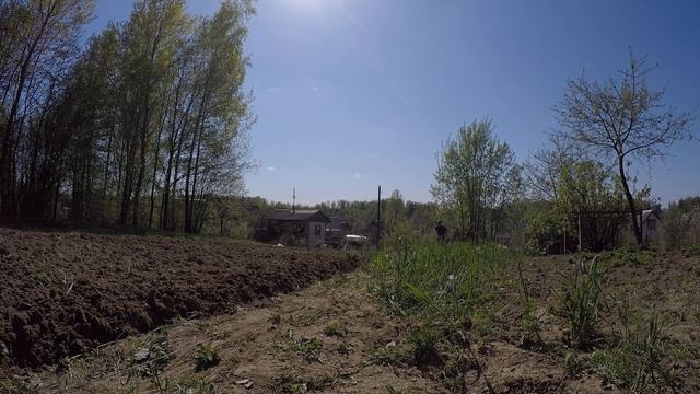 Посадка картофеля под электролебёдку Могилёвлифтмаш ЛС-100А 2019 год смотреть онлайн