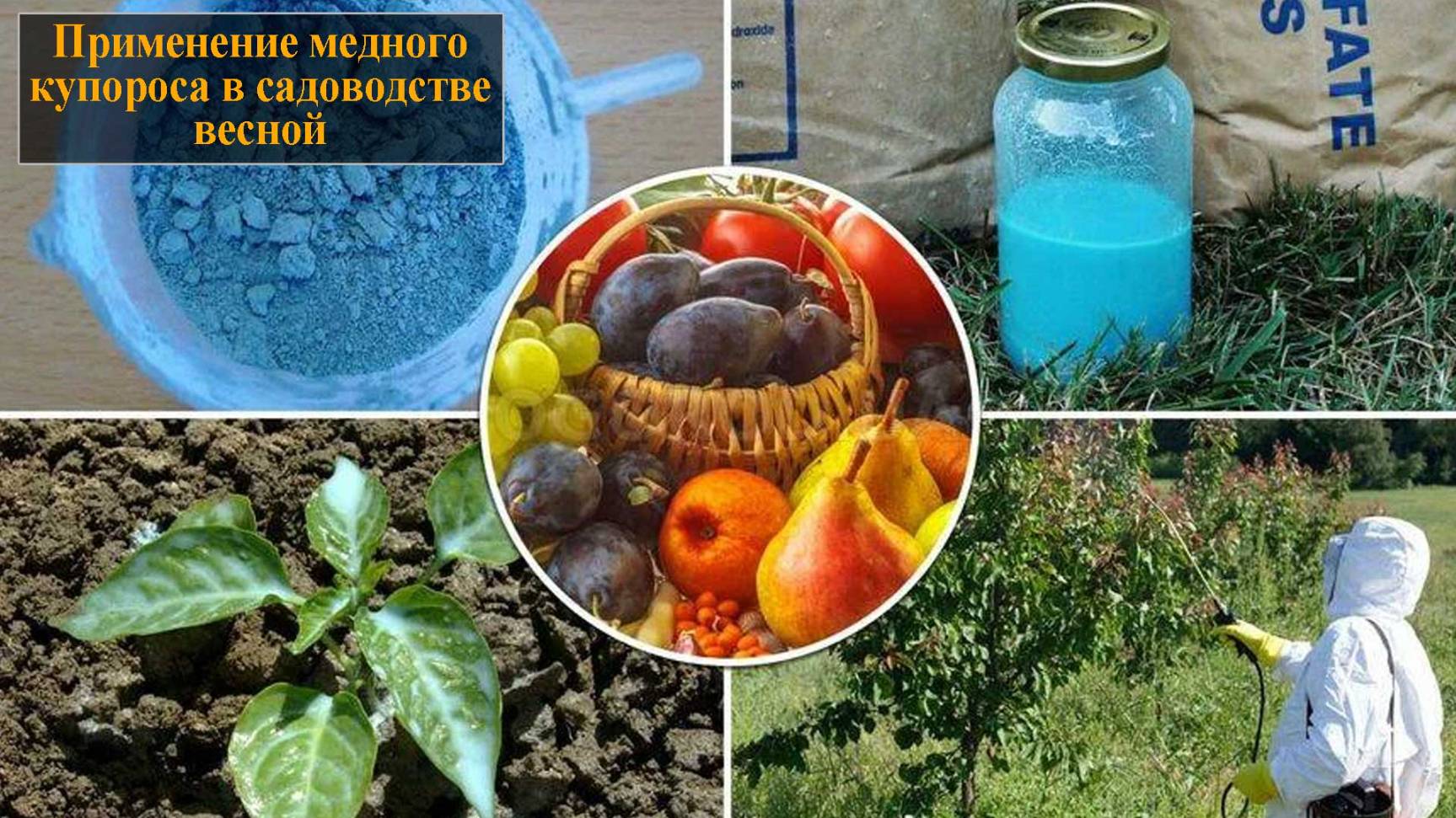 Медный купорос применение в садоводстве весной смотреть онлайн