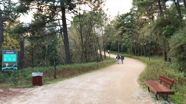 Sariyer Walking Tour | Ataturk City Forest Walking | 6 December 2021
