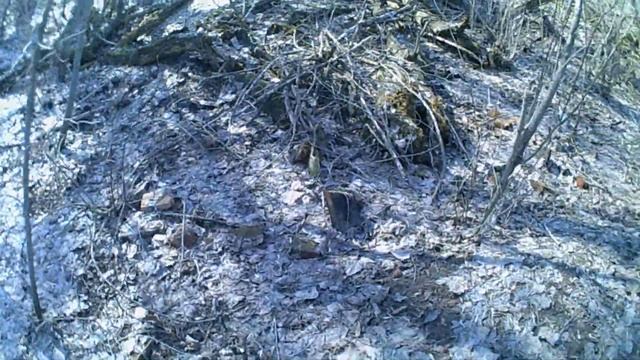 ПРОСТО КОП.СОВЕТСКИЙ ХУТОР.(коп 2018)