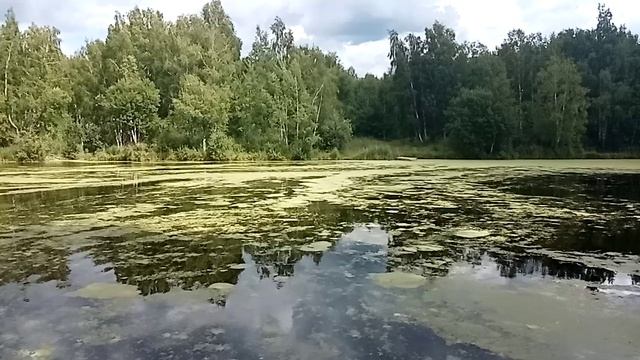 Природа Около дома смотреть онлайн