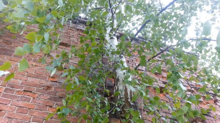 Цена жизни. Часть 2 смотреть онлайн