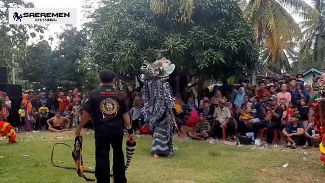 rampak barong ssbm,di jaranan mbalelo ,live di way jambu/pesisir barat/lampung barat смотреть онлайн