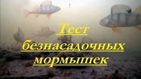 Ловля окуня на безмотылку.ПОДВОДНАЯ СЪЕМКА. смотреть онлайн