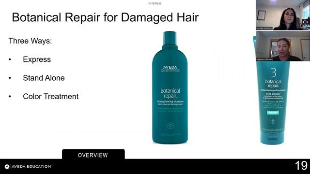 Aveda Botanical Repair Treatment