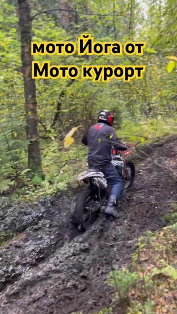 Мото йога от Мото курорт. #motokurort #shorts #short смотреть онлайн