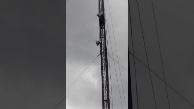 06.06.2016 смена оборудования на вышке киевстар 54метра для запуска 3G смотреть онлайн