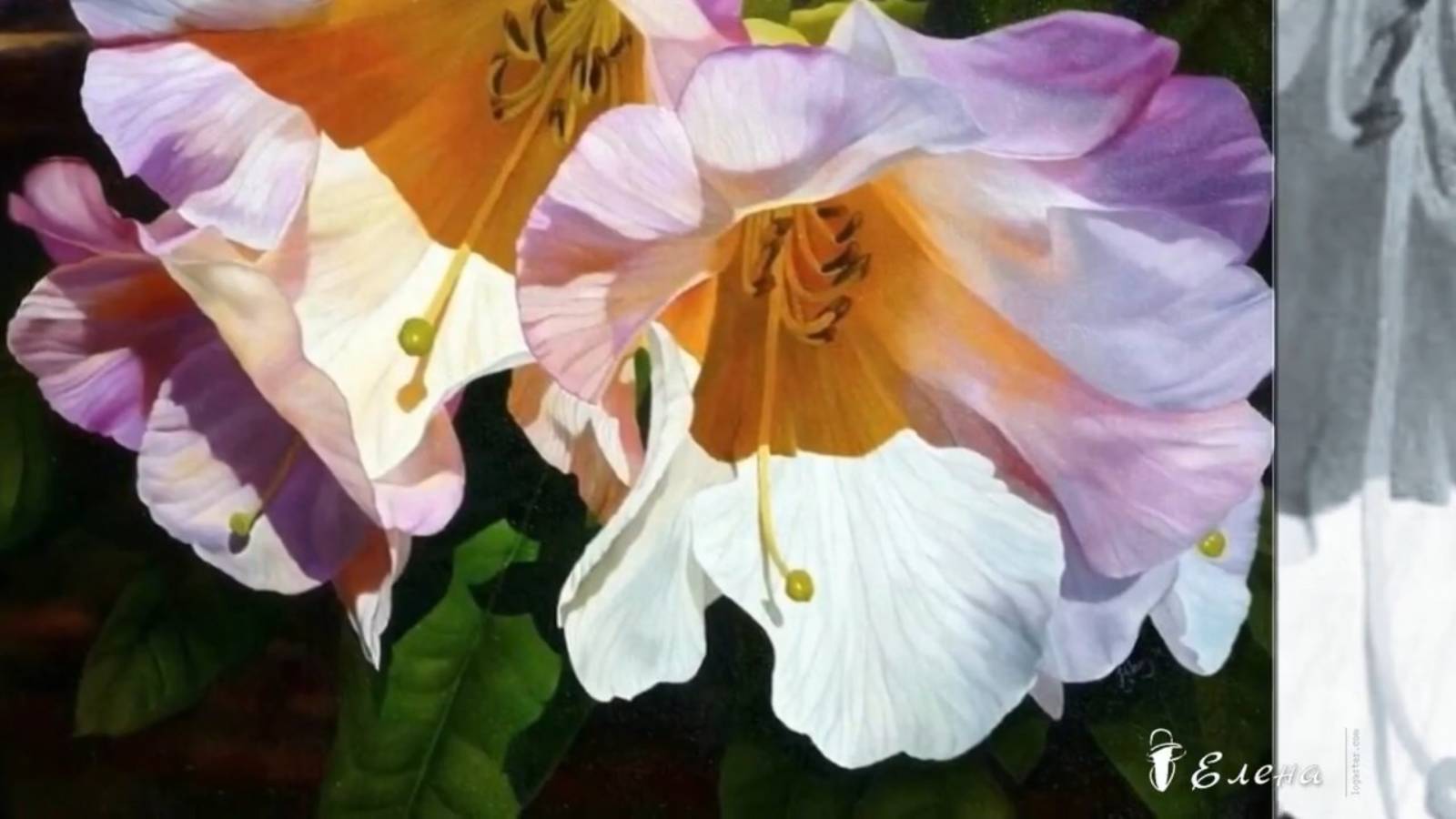 Великолепные цветы*          Художник Hilary Eddy*