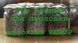 Три режима для перловки. А какой из них Ваш? Автоклав НЕФОР.