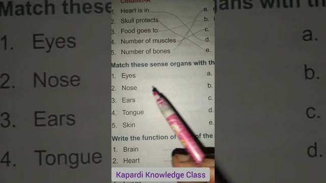 Worksheet 5 Science/Holiday Homework Worksheets/Match The Following#worksheet #science #class1