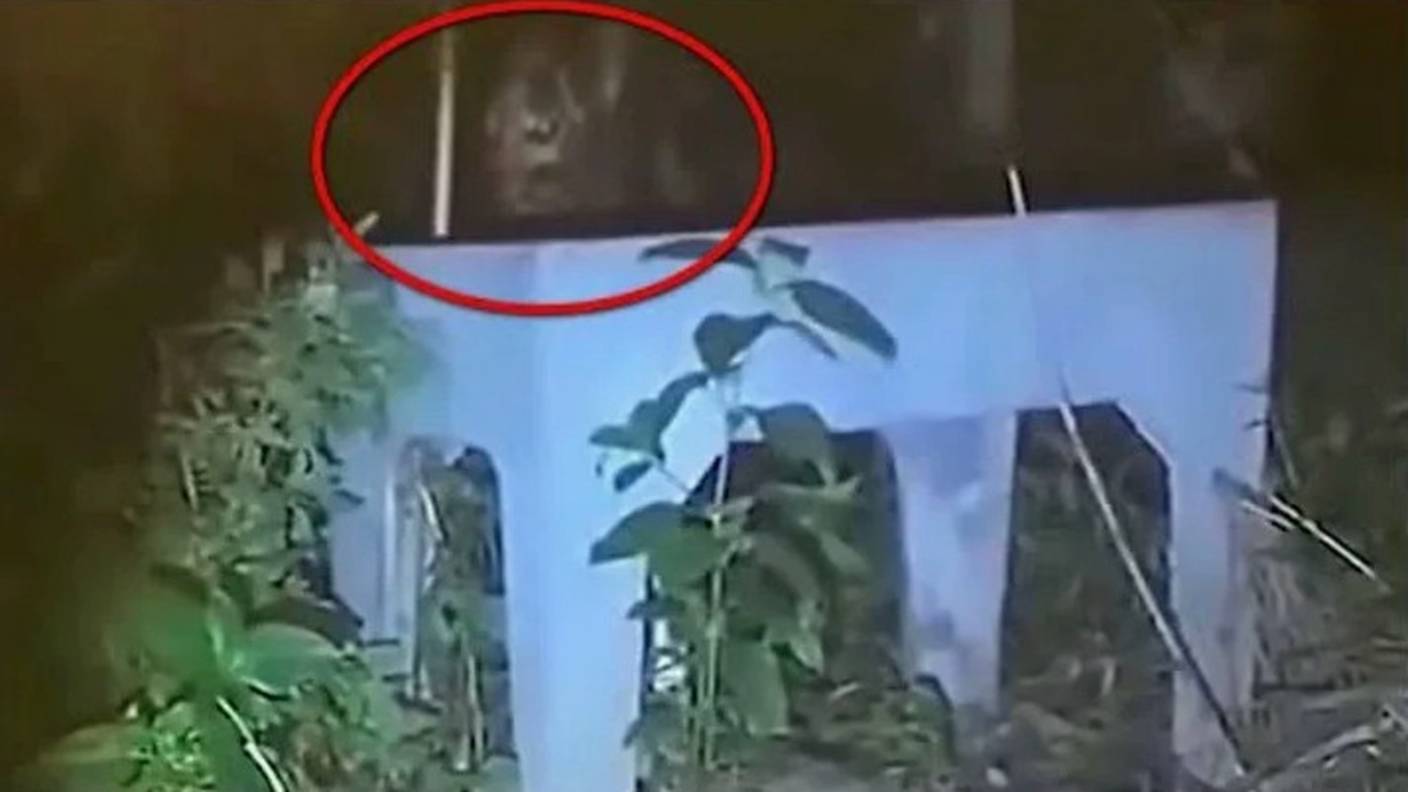 Загадочные существа, которые попали на видео! Монтаж или правда? смотреть онлайн