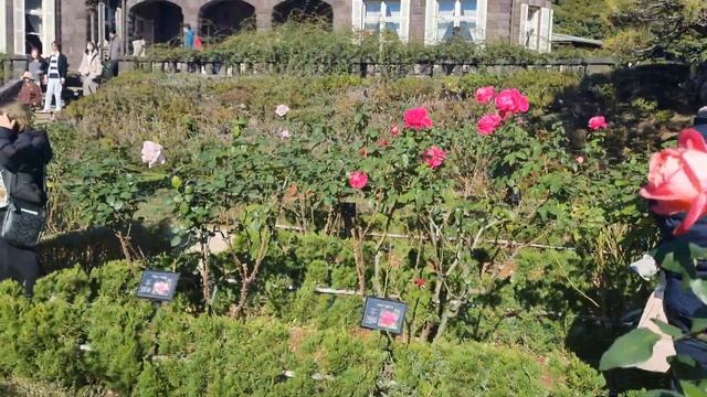 4 декабря 2023 г. смотреть онлайн