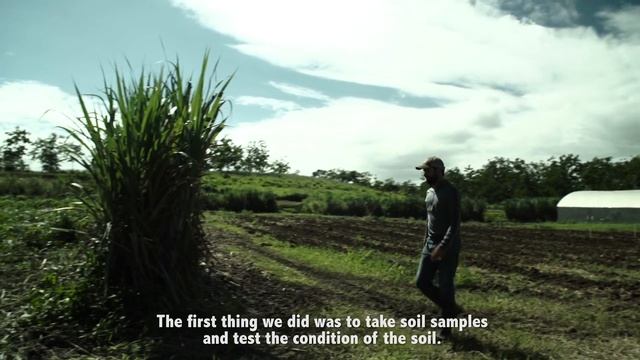 Climate Resilient Agriculture: Plantains & Vegetables | ADAPTA Series смотреть онлайн