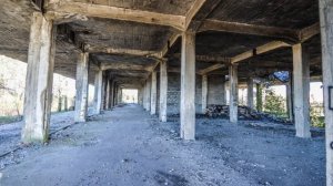 Freaks - surf curse | lyrics | перевод на русский язык