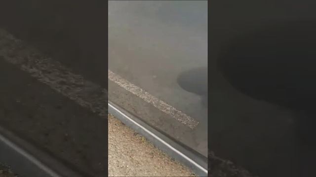 VID-20250314-WA0001 смотреть онлайн