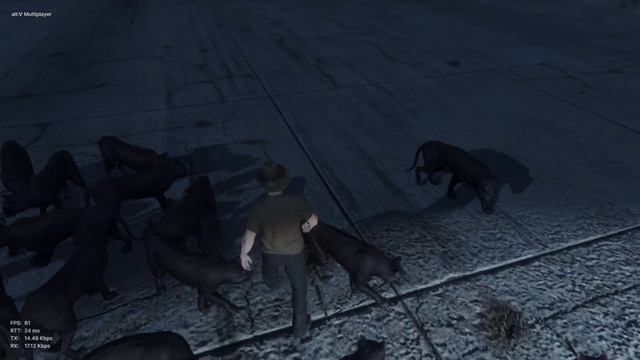 [ALT-V] Synced Animal Wildlife [ GTA-V ] смотреть онлайн