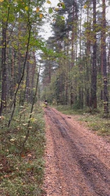 Крутой мальчишник на мотоциклах. Мото курорт - #motokurort #sh#short смотреть онлайн