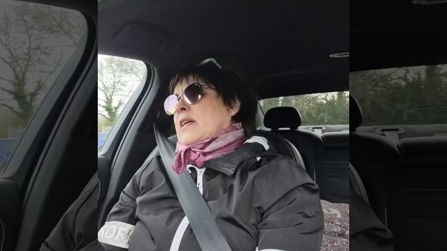 лебедь, рак и щука... смотреть онлайн