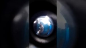 пьяный сосед ломится в дверь