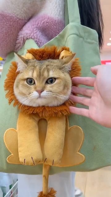 Мягкая сумка для переноски домашних животных смотреть онлайн