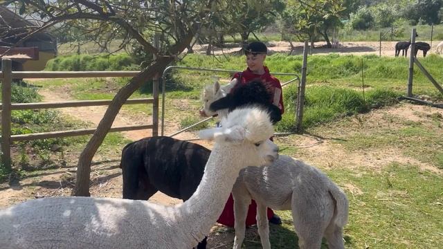 ЮАР октябрь2024г