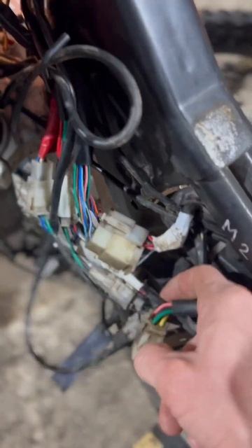 Не покупай мотоцикл никогда! Арендуй и катай! #motokurort #shorts #pitbike #motorcycle смотреть онлайн