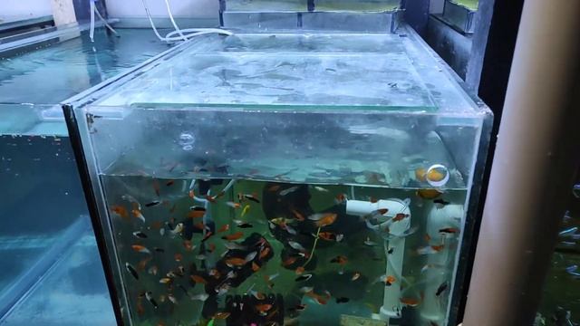 Любимая работа всегда в радость... смотреть онлайн